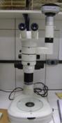 Foto de Microscópio Estereoscópico com Máquina Digital Acoplada.