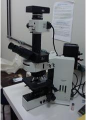 Foto de Microscópio Óptico e de Fluorescência.